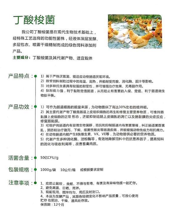 丁酸梭菌介绍